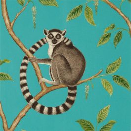 Обои Sanderson Коллекция The Glasshouse дизайн Ringtailed Lemur арт. 216663