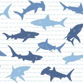Обои York Коллекция A Perfect World дизайн Shark Charades арт. KI0566