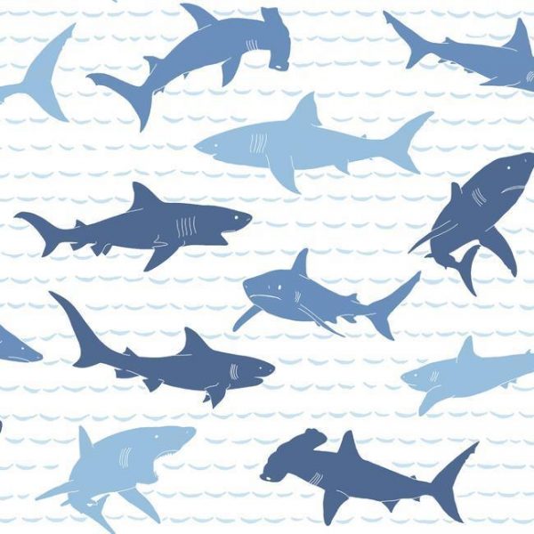 Обои York Коллекция A Perfect World дизайн Shark Charades арт. KI0566
