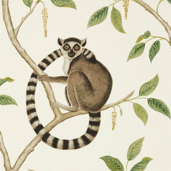 Обои Sanderson Коллекция The Glasshouse дизайн Ringtailed Lemur арт. 216664